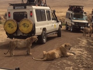 Biology Tanzania Tour 2015